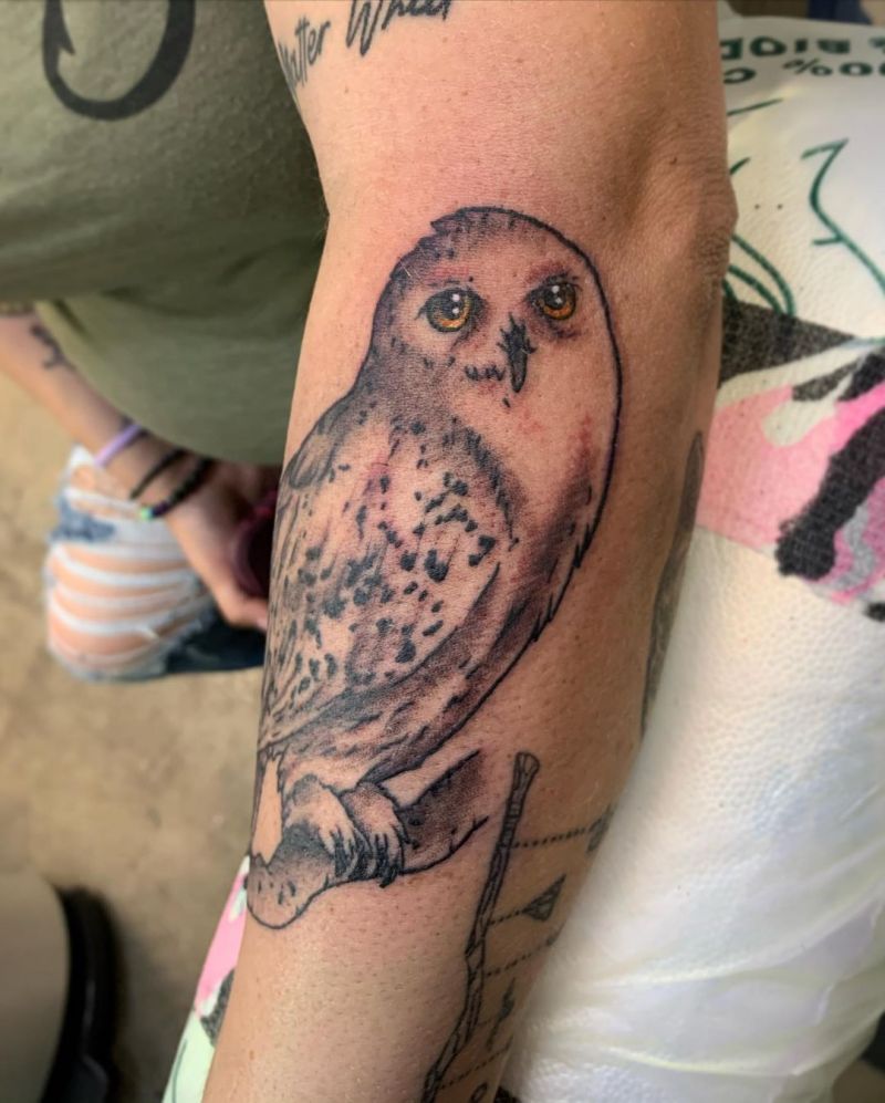 30 Pretty Snowy Owl Tattoos You Can Copy