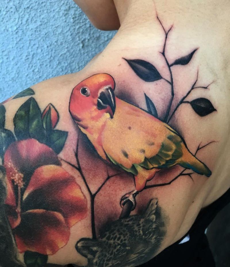 30 Pretty Conure Tattoos You Will Love