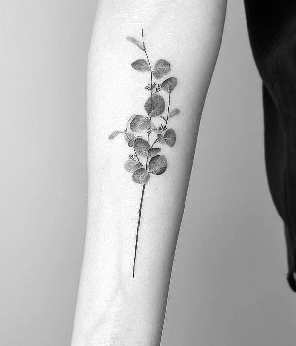 30 Pretty Eucalyptus Tattoos You Must Try