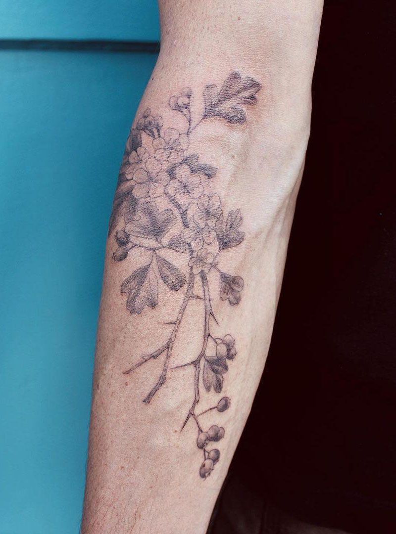 26 Pretty Hawthorn Tattoos You Can Copy