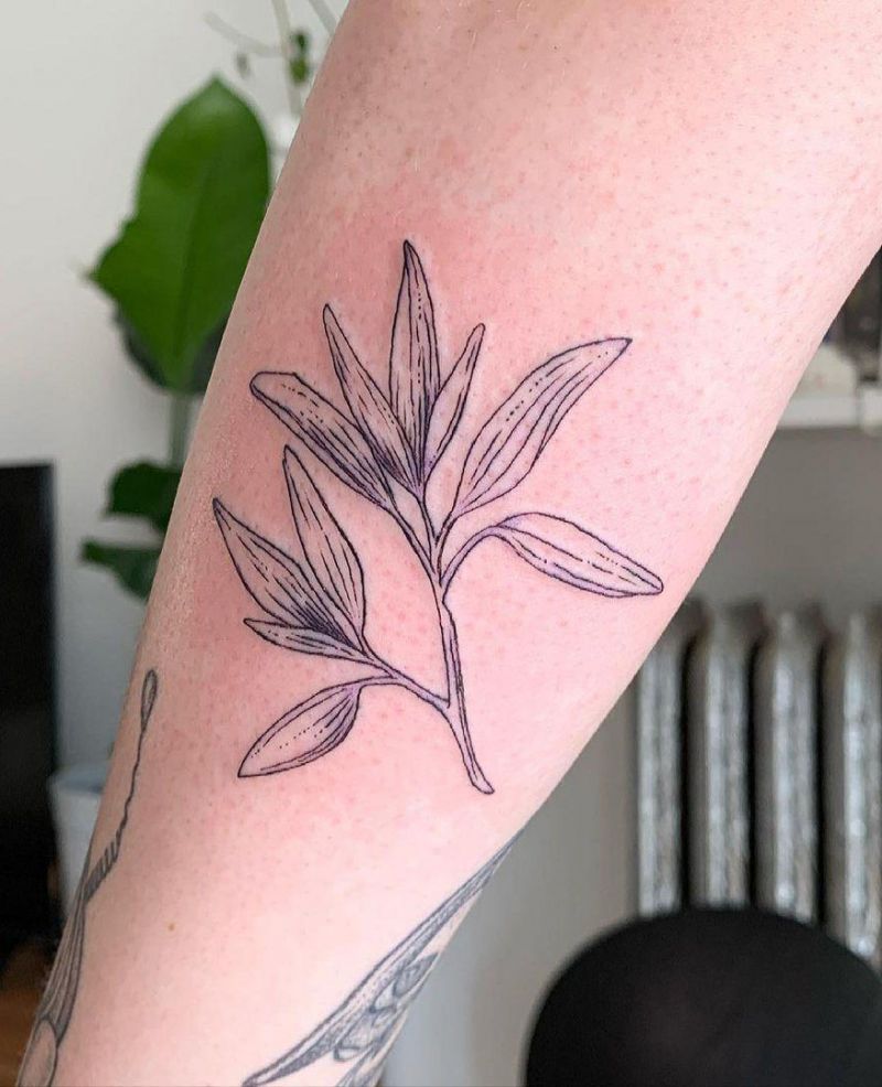 30 Pretty Sage Tattoos Make You Attractive