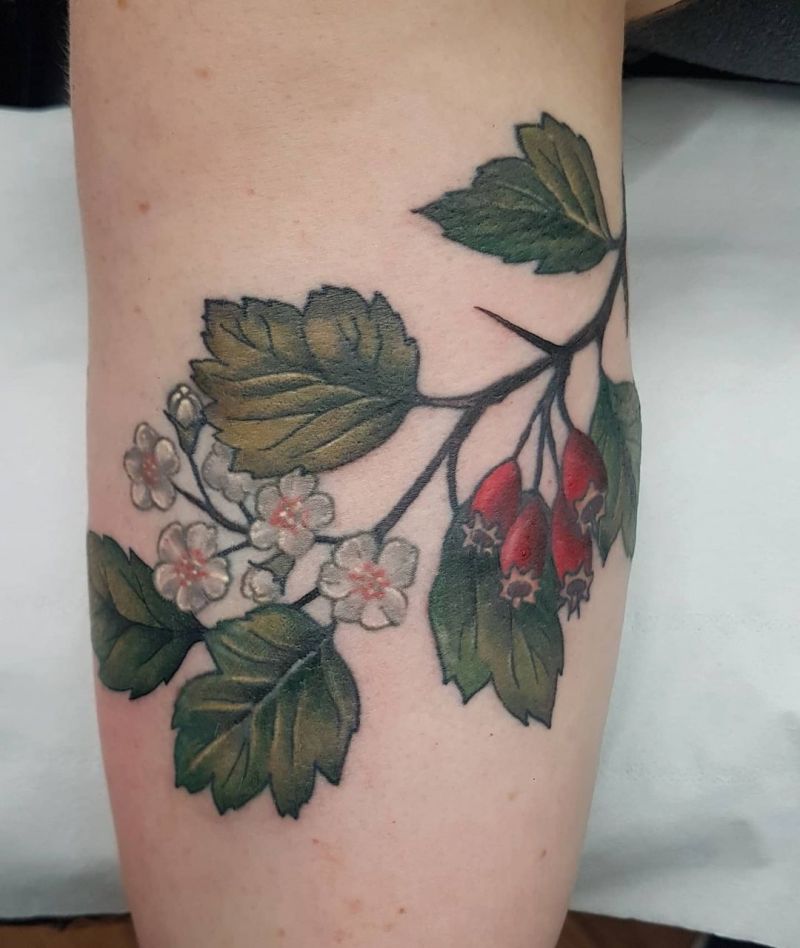 26 Pretty Hawthorn Tattoos You Can Copy