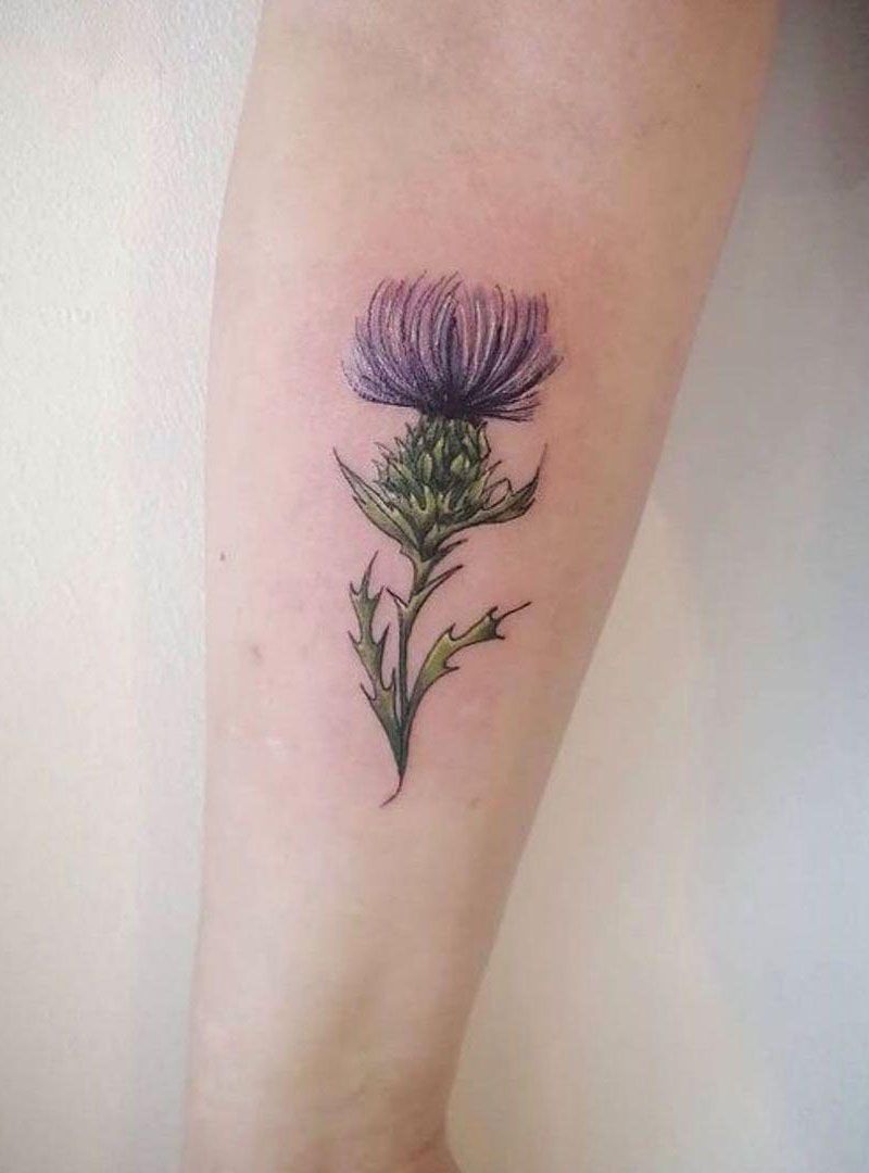 30 Pretty Thistle Tattoos Make You Attractive