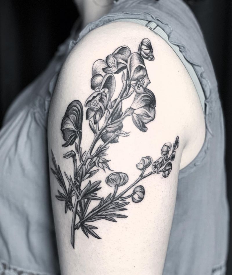 30 Pretty Wolfsbane Tattoos You Will Love