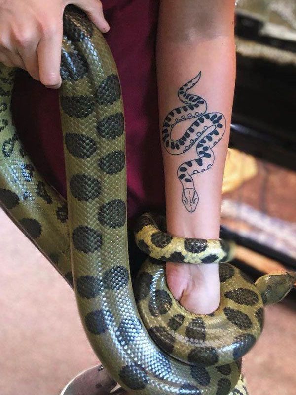 16 Pretty Anaconda Tattoos to Inspire You