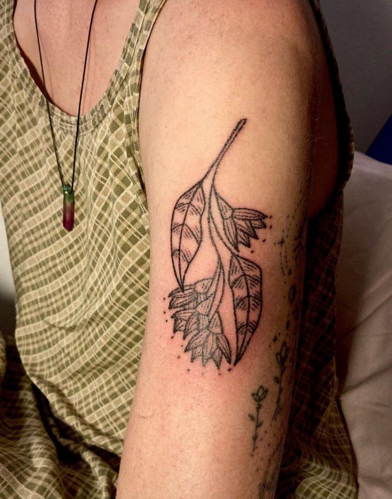 30 Pretty Gum Tree Tattoos You Will Love