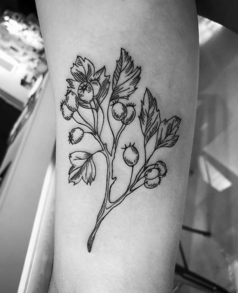 26 Pretty Hawthorn Tattoos You Can Copy