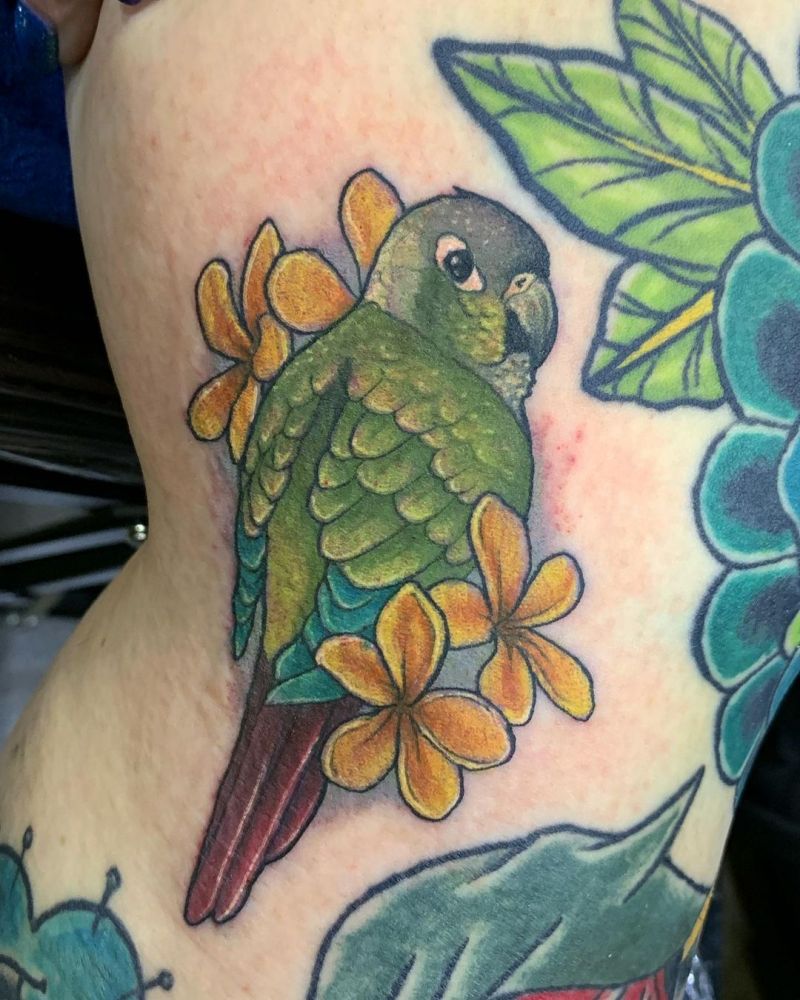 30 Pretty Conure Tattoos You Will Love