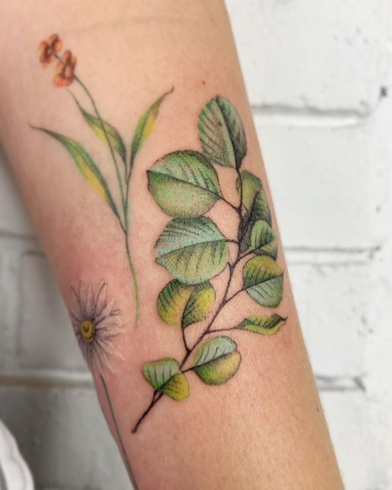 30 Pretty Eucalyptus Tattoos You Must Try