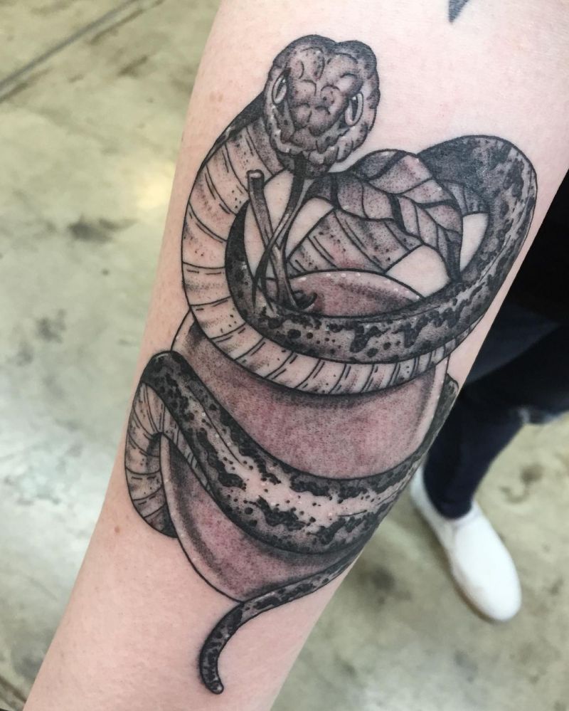 30 Pretty Snake and apple Tattoos Make You Charming