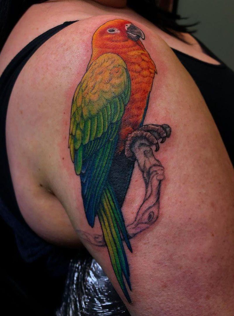 30 Pretty Conure Tattoos You Will Love