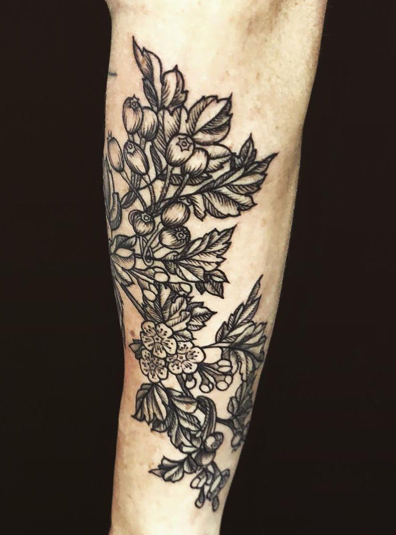 26 Pretty Hawthorn Tattoos You Can Copy