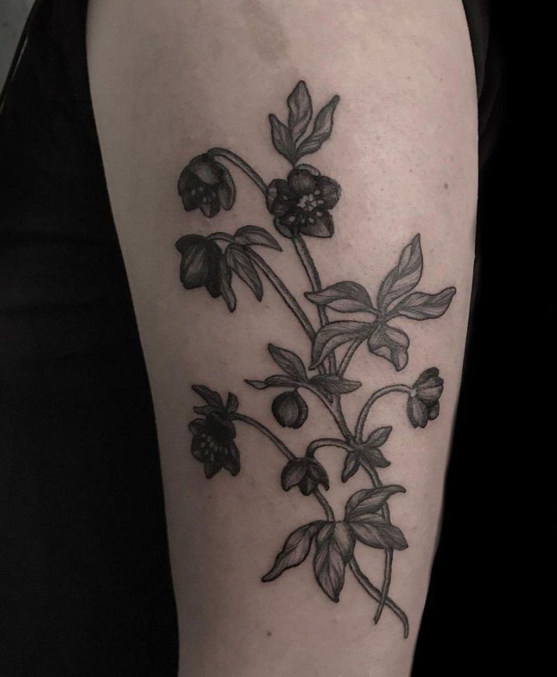 30 Pretty Hellebore Tattoos You Will Love