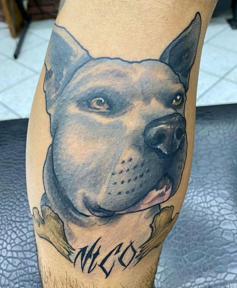 30 Cute Pitbull Tattoos You Must Try