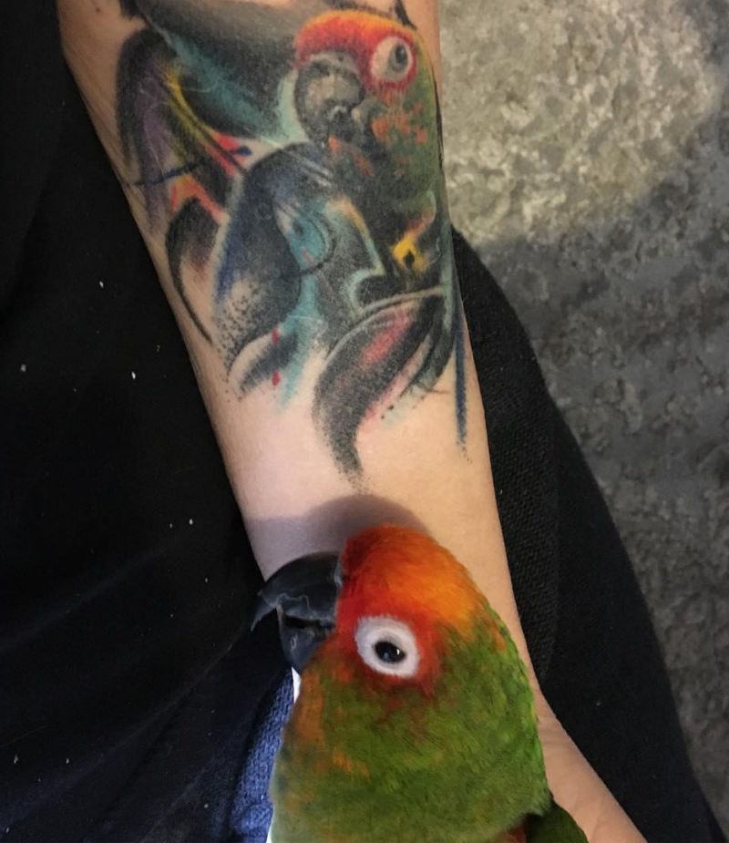 30 Pretty Conure Tattoos You Will Love