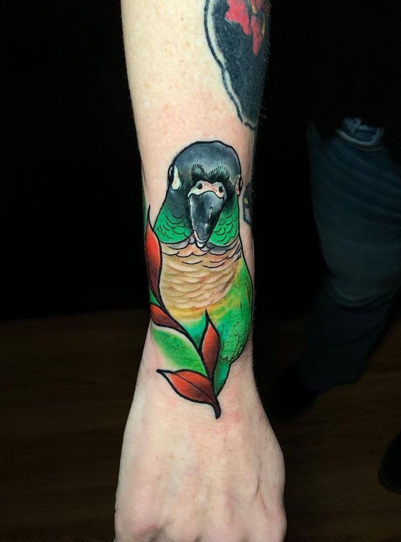 30 Pretty Conure Tattoos You Will Love