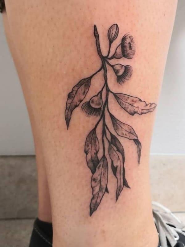 30 Pretty Gum Tree Tattoos You Will Love
