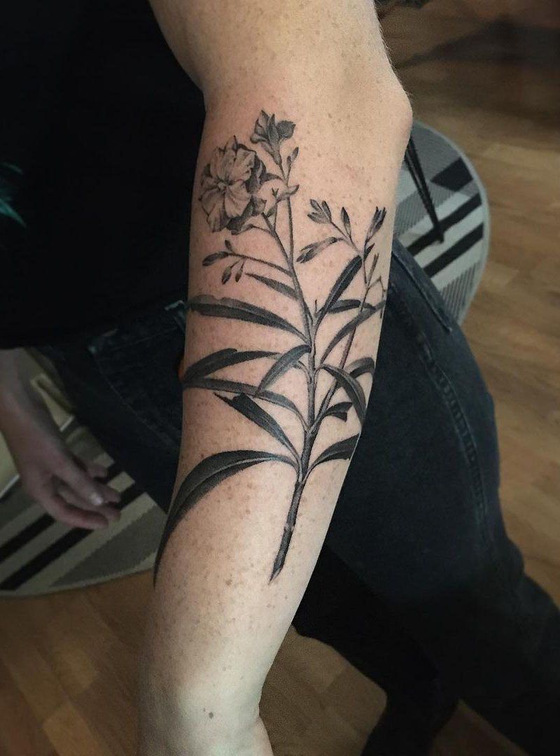 30 Pretty Oleander Tattoos Make You Attractive