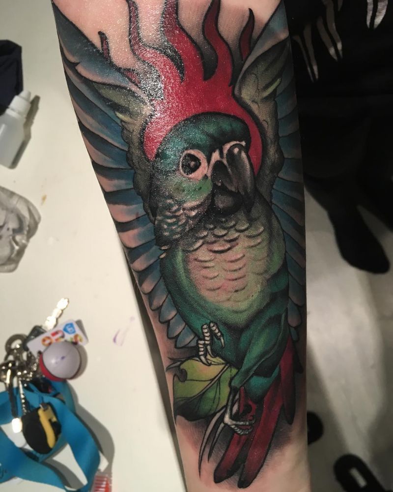 30 Pretty Conure Tattoos You Will Love