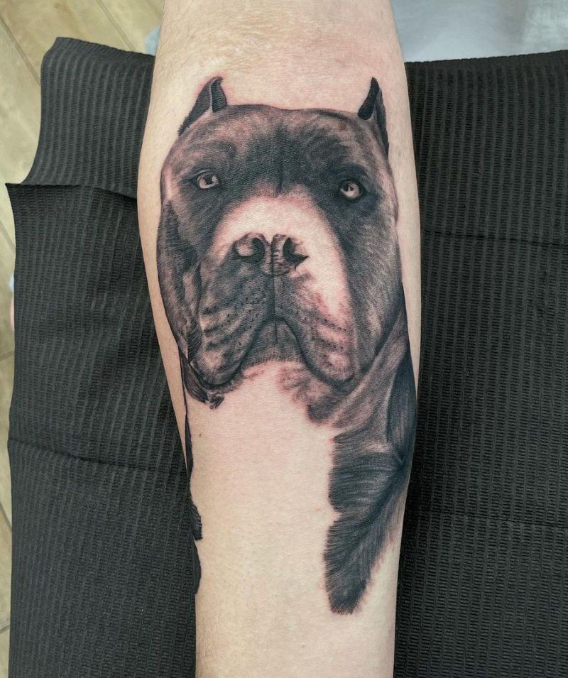 30 Cute Pitbull Tattoos You Must Try