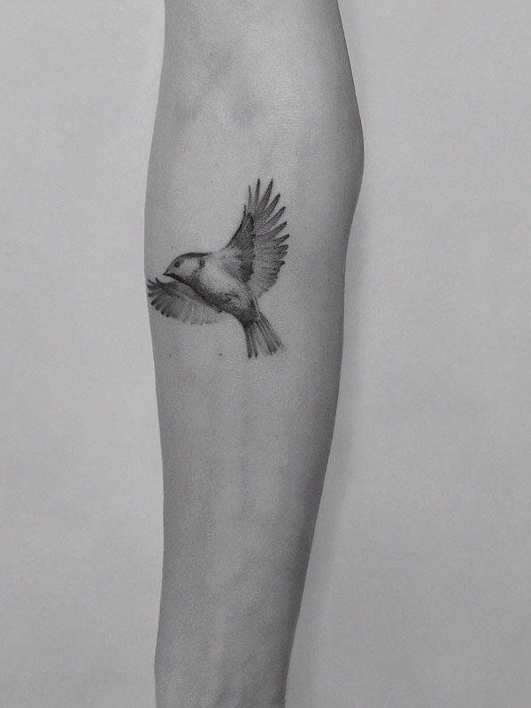 30 Pretty Titmouse Tattoos You Must Try