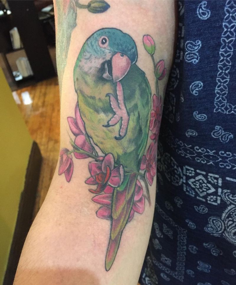 30 Pretty Conure Tattoos You Will Love