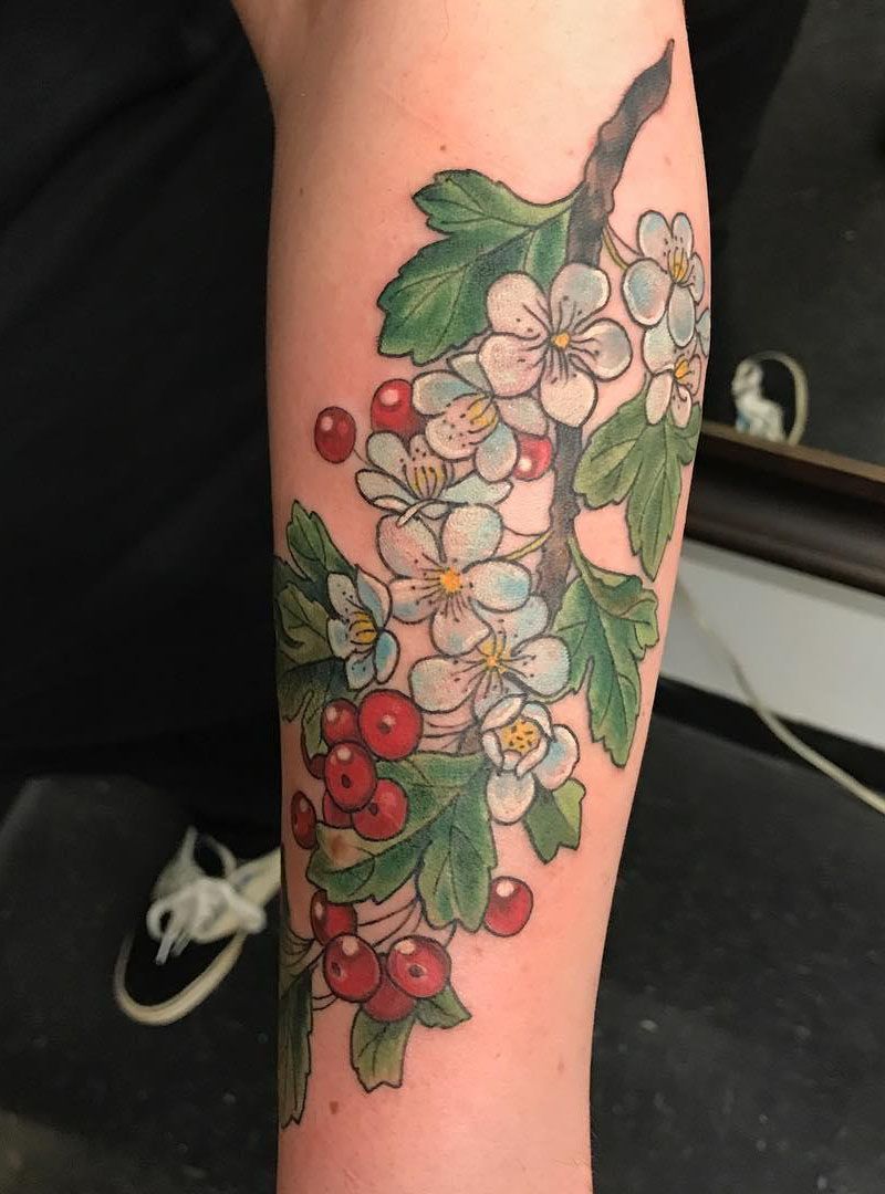 26 Pretty Hawthorn Tattoos You Can Copy