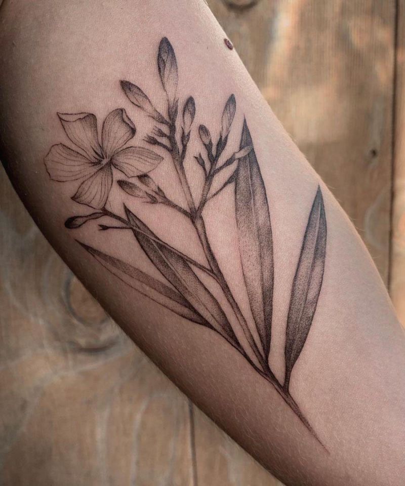 30 Pretty Oleander Tattoos Make You Attractive