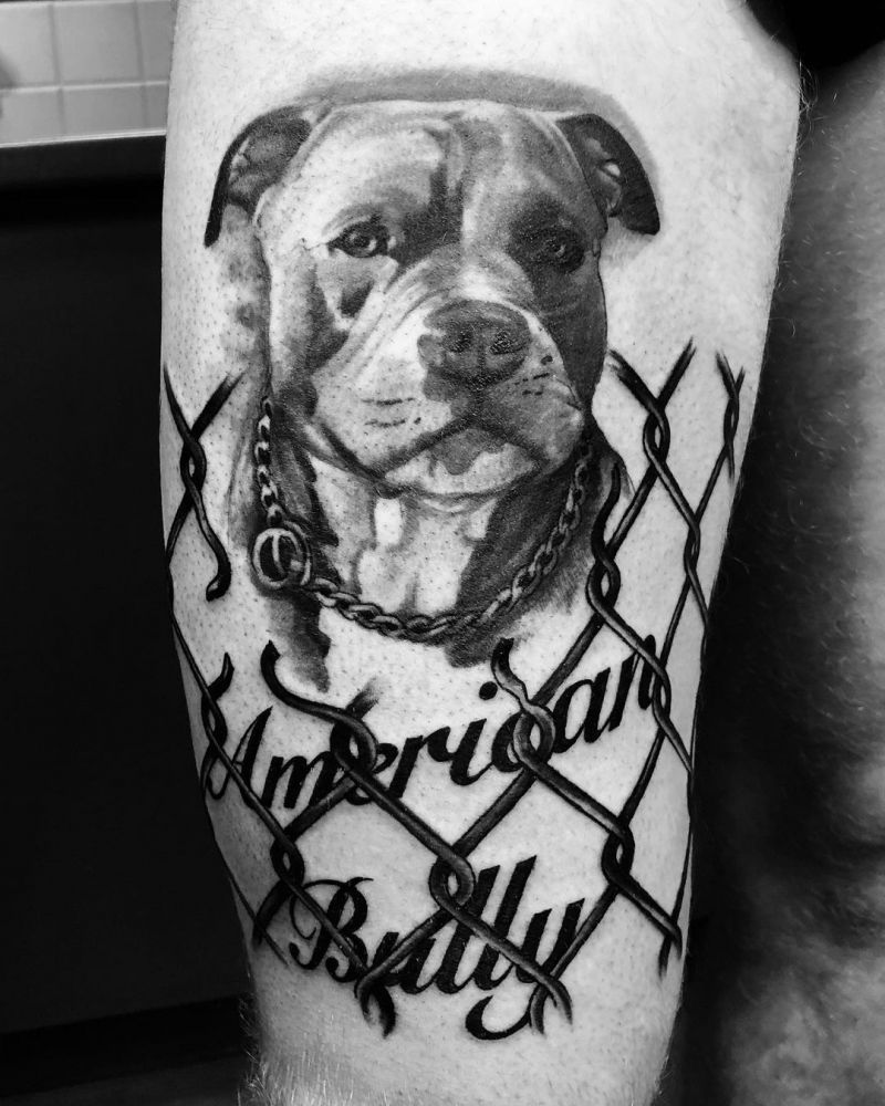 30 Cute Pitbull Tattoos You Must Try