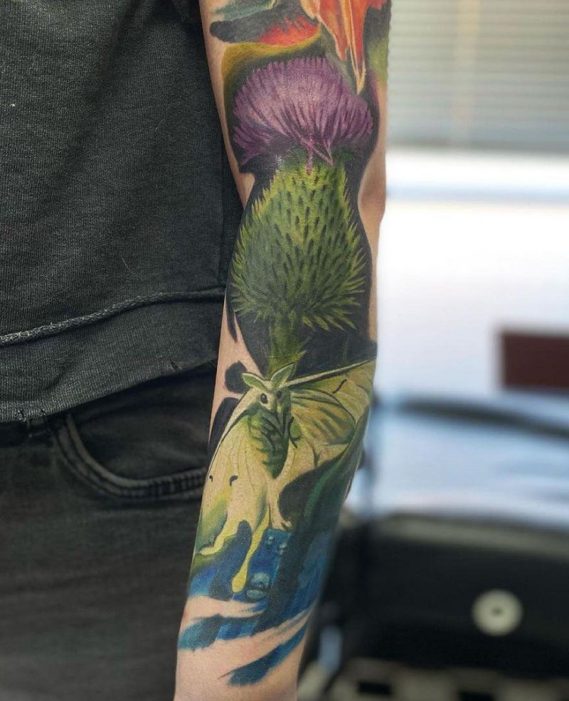 30 Pretty Thistle Tattoos Make You Attractive