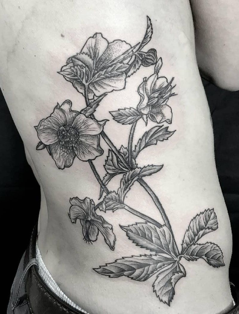 30 Pretty Hellebore Tattoos You Will Love