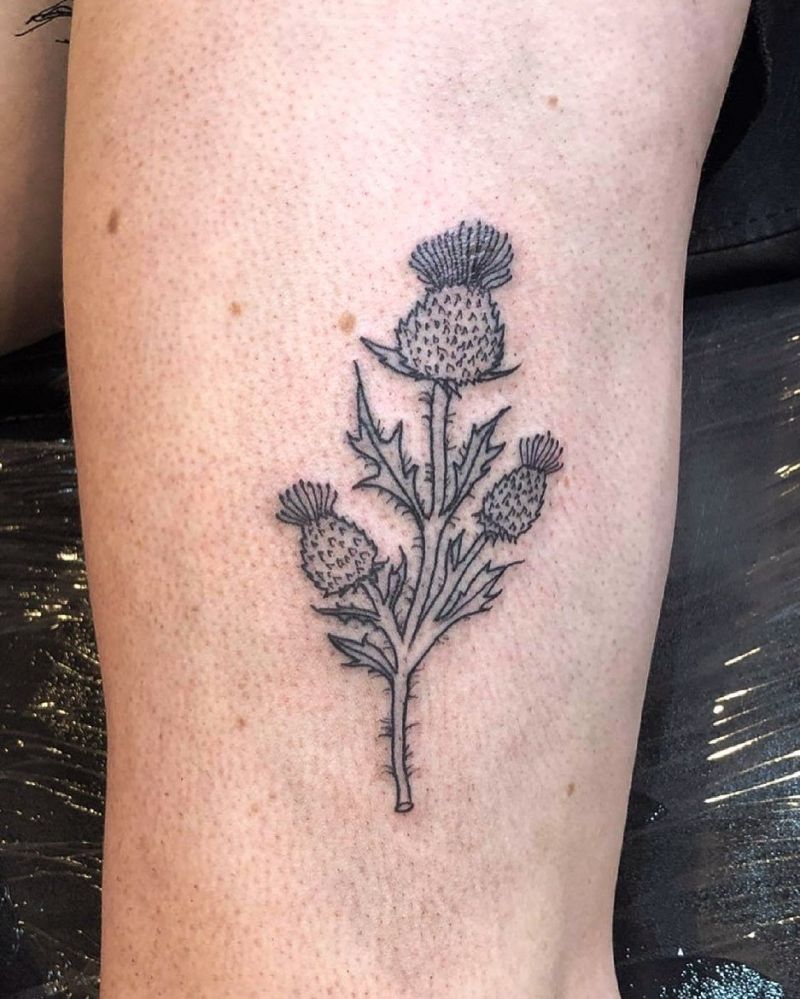 30 Pretty Thistle Tattoos Make You Attractive