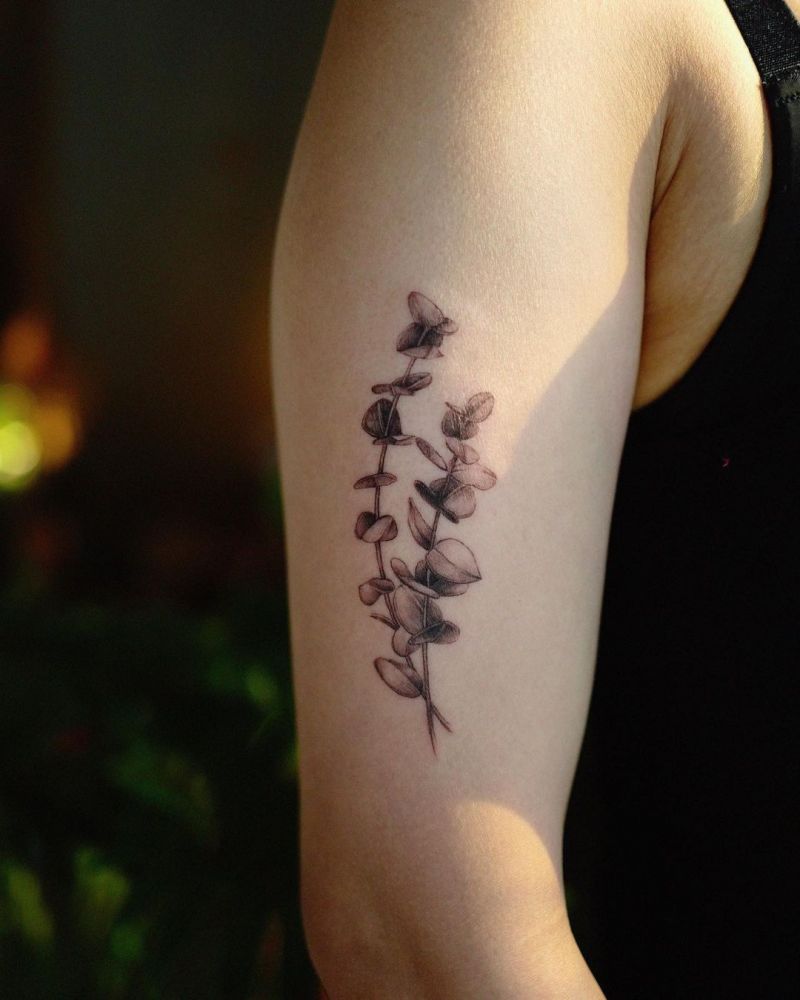 30 Pretty Eucalyptus Tattoos You Must Try