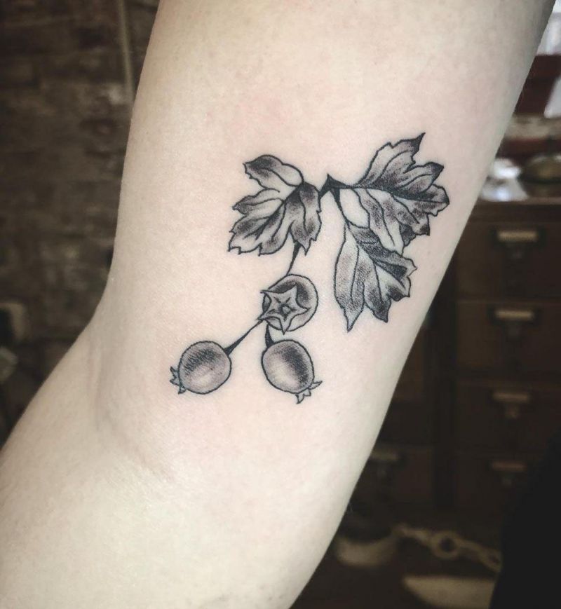 26 Pretty Hawthorn Tattoos You Can Copy