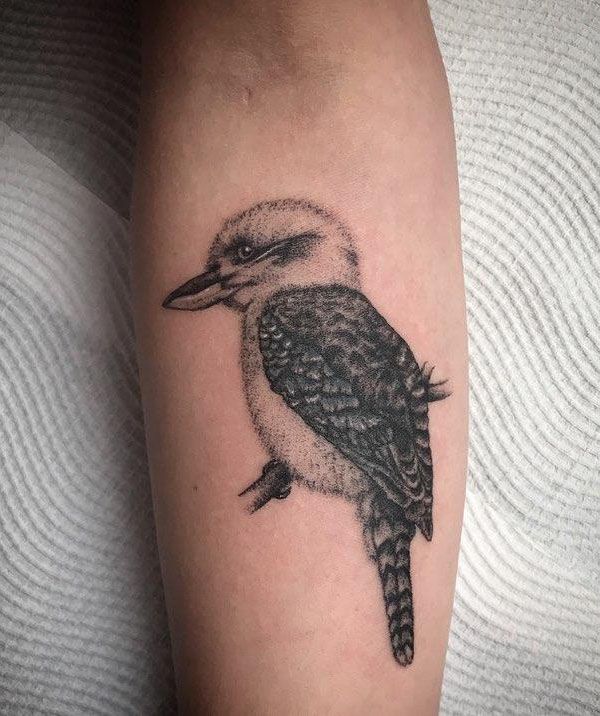 30 Pretty Kookaburra Tattoos You Can Copy