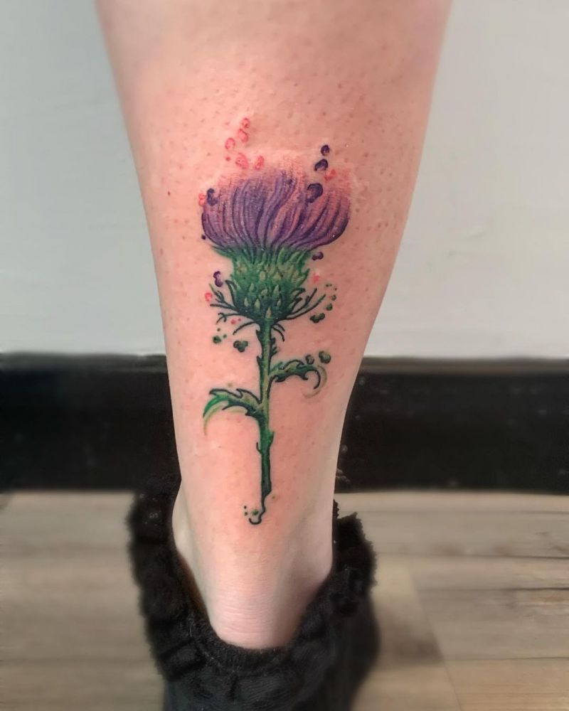 30 Pretty Thistle Tattoos Make You Attractive