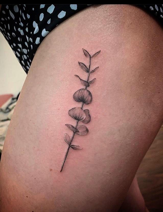 30 Pretty Eucalyptus Tattoos You Must Try