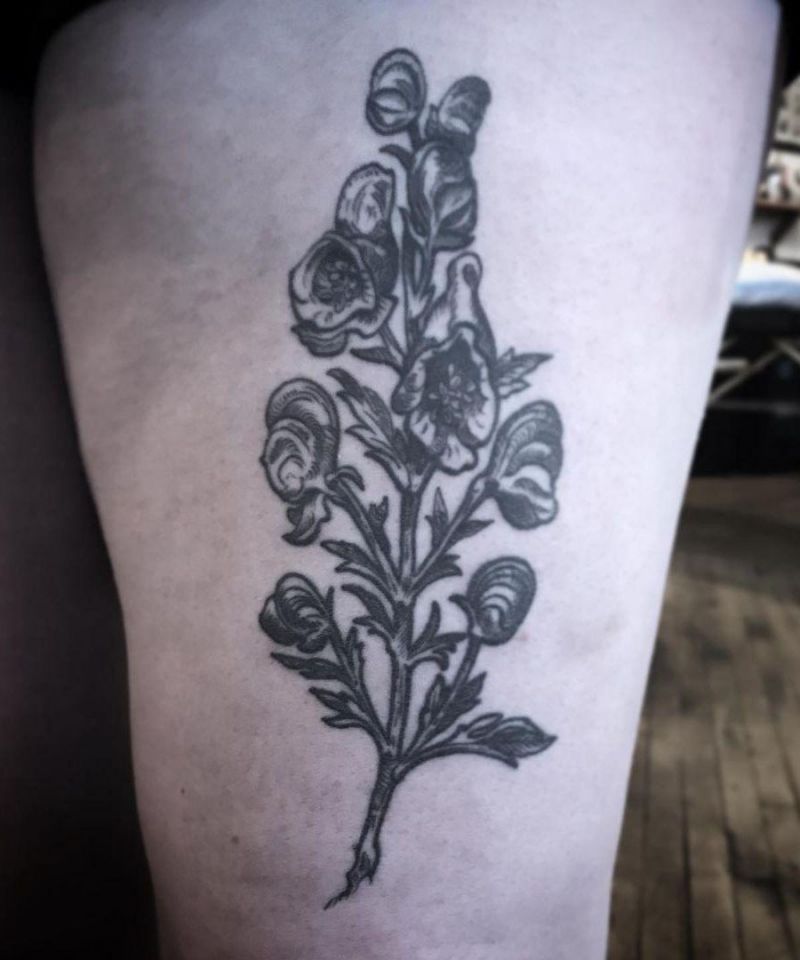 30 Pretty Wolfsbane Tattoos You Will Love