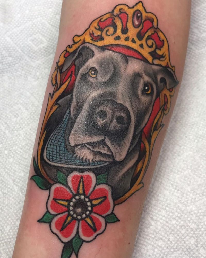 30 Cute Pitbull Tattoos You Must Try