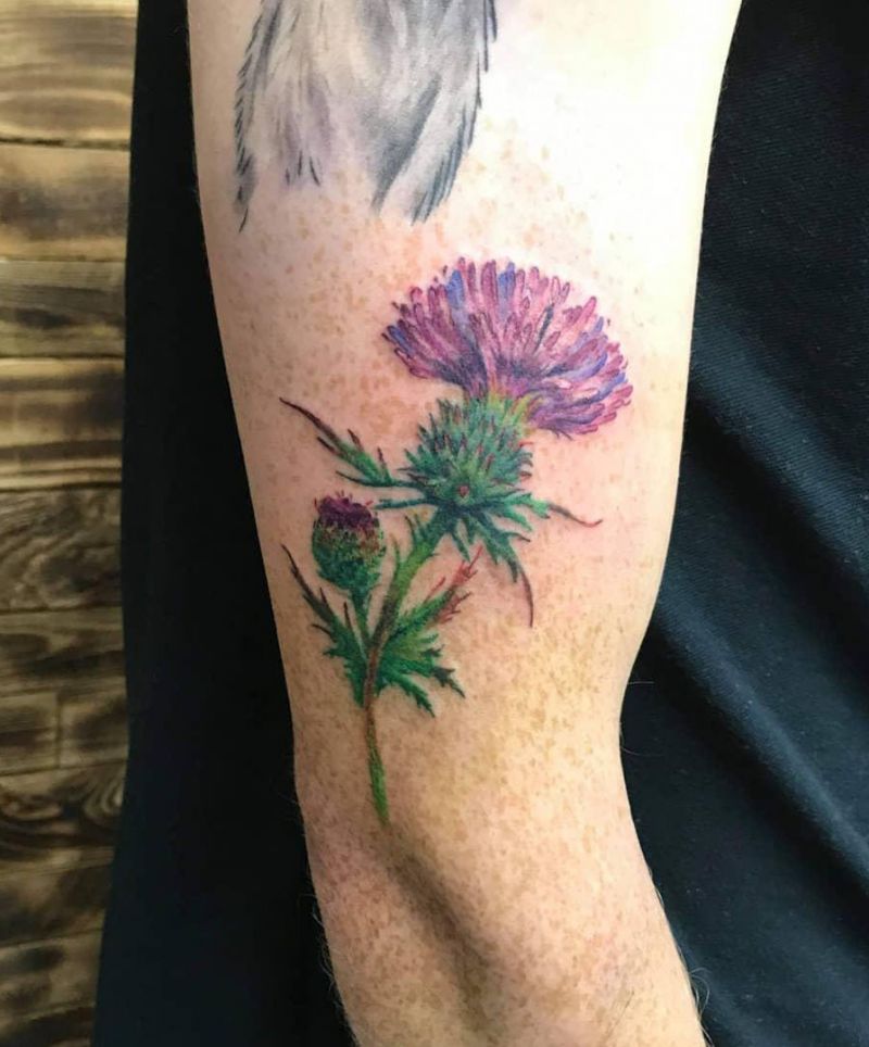 30 Pretty Thistle Tattoos Make You Attractive