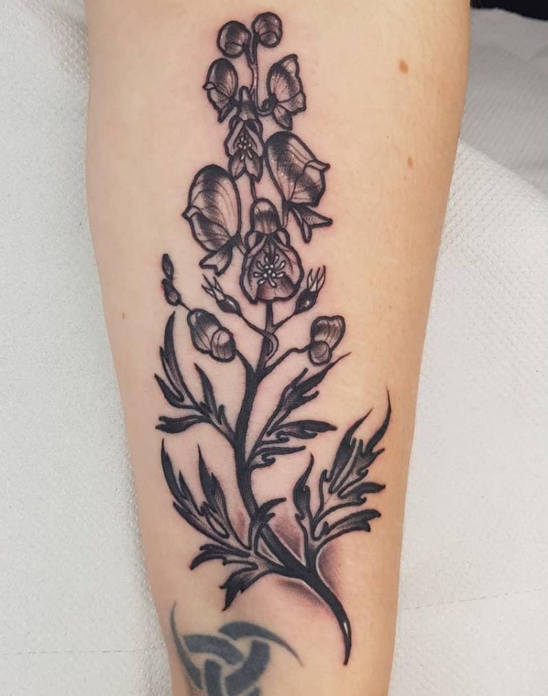 30 Pretty Wolfsbane Tattoos You Will Love