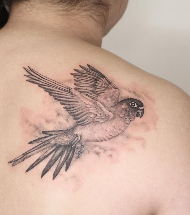 30 Pretty Conure Tattoos You Will Love