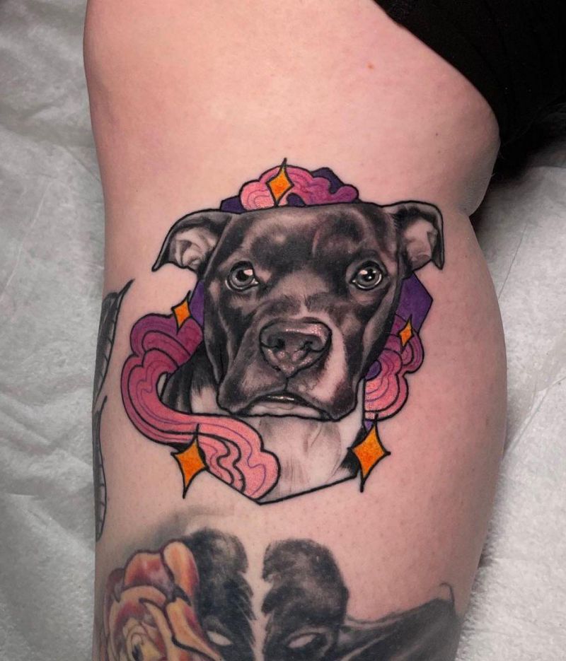 30 Cute Pitbull Tattoos You Must Try