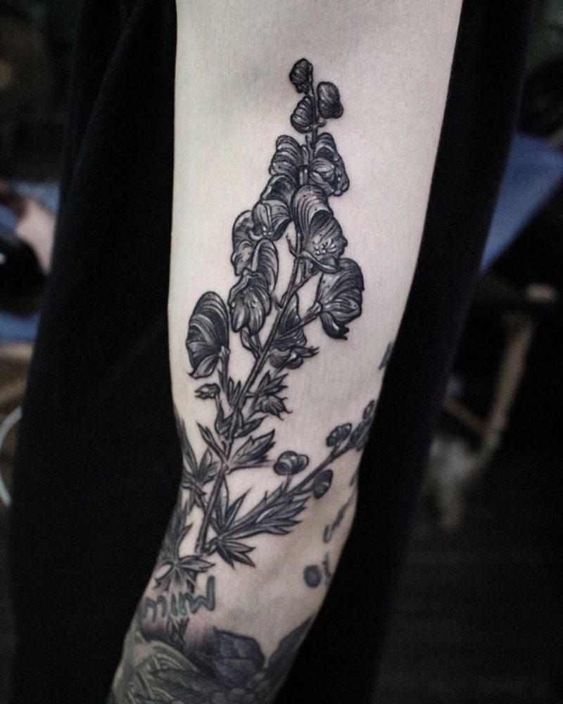 30 Pretty Wolfsbane Tattoos You Will Love