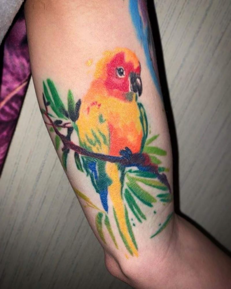 30 Pretty Conure Tattoos You Will Love