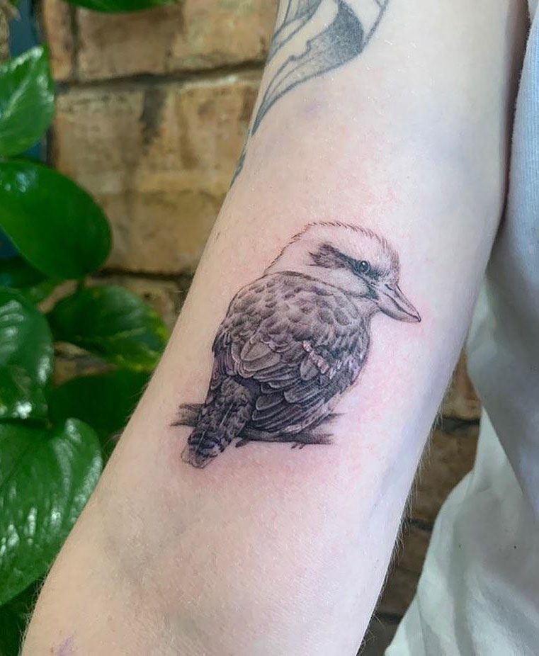 30 Pretty Kookaburra Tattoos You Can Copy