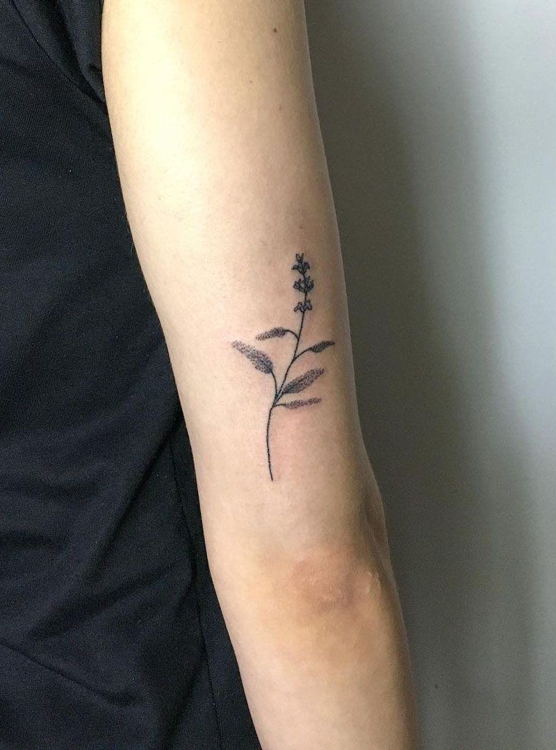 30 Pretty Sage Tattoos Make You Attractive