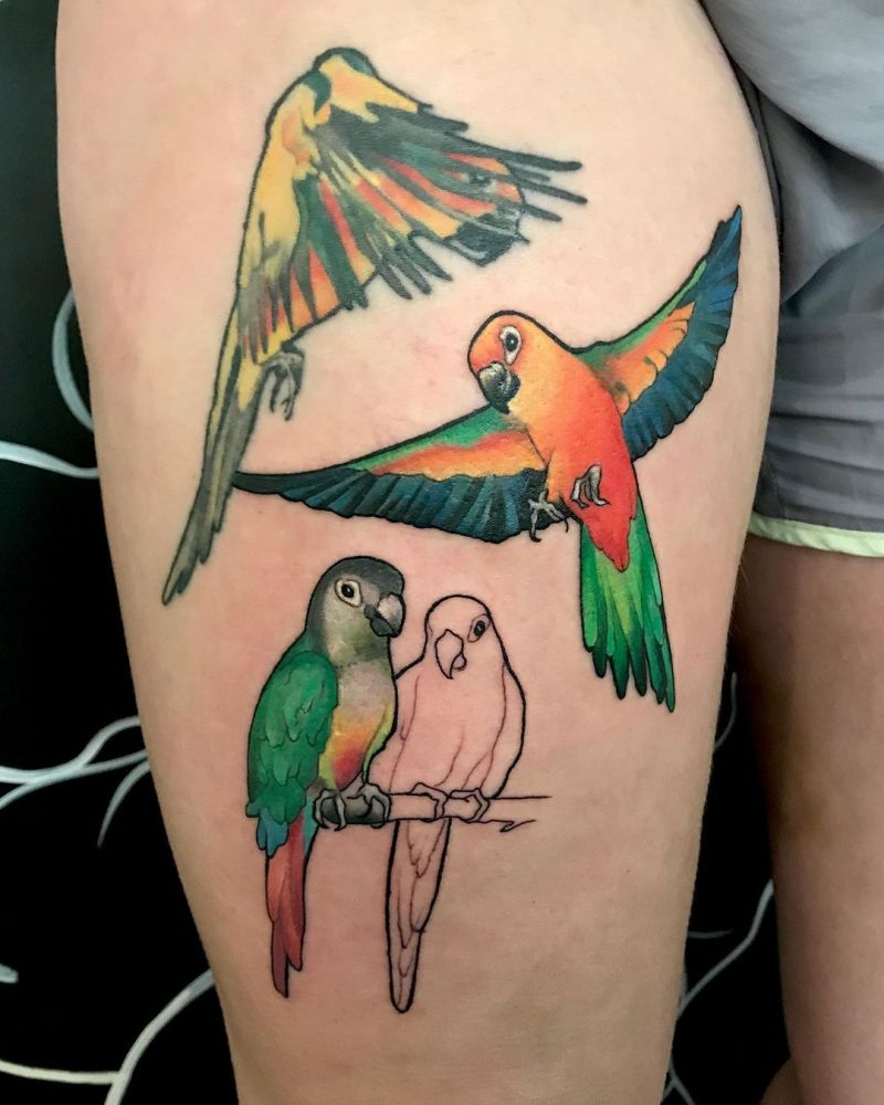 30 Pretty Conure Tattoos You Will Love