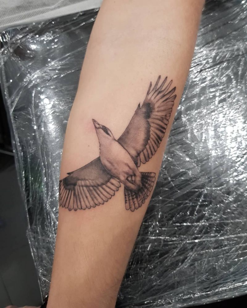 30 Pretty Kookaburra Tattoos You Can Copy