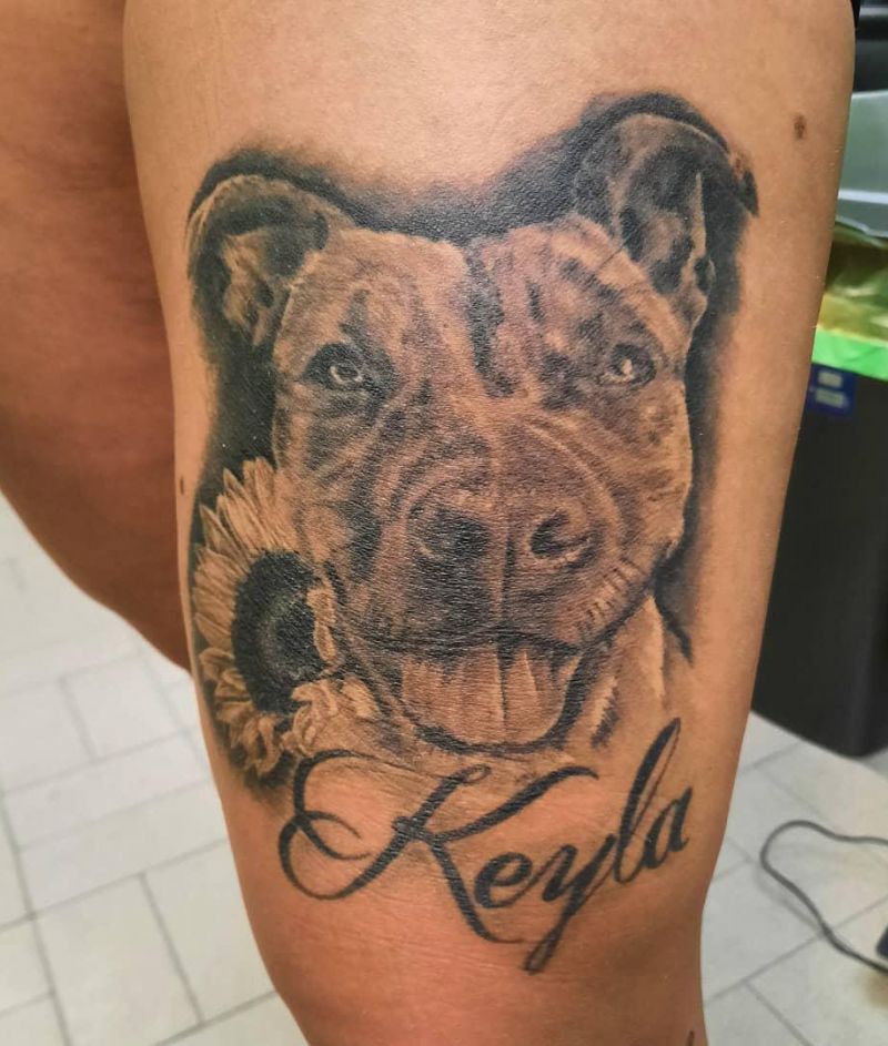 30 Cute Pitbull Tattoos You Must Try